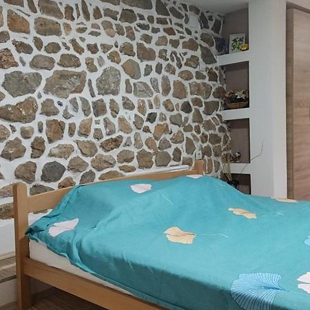 Guest House Stevovski Elshani エクステリア 写真