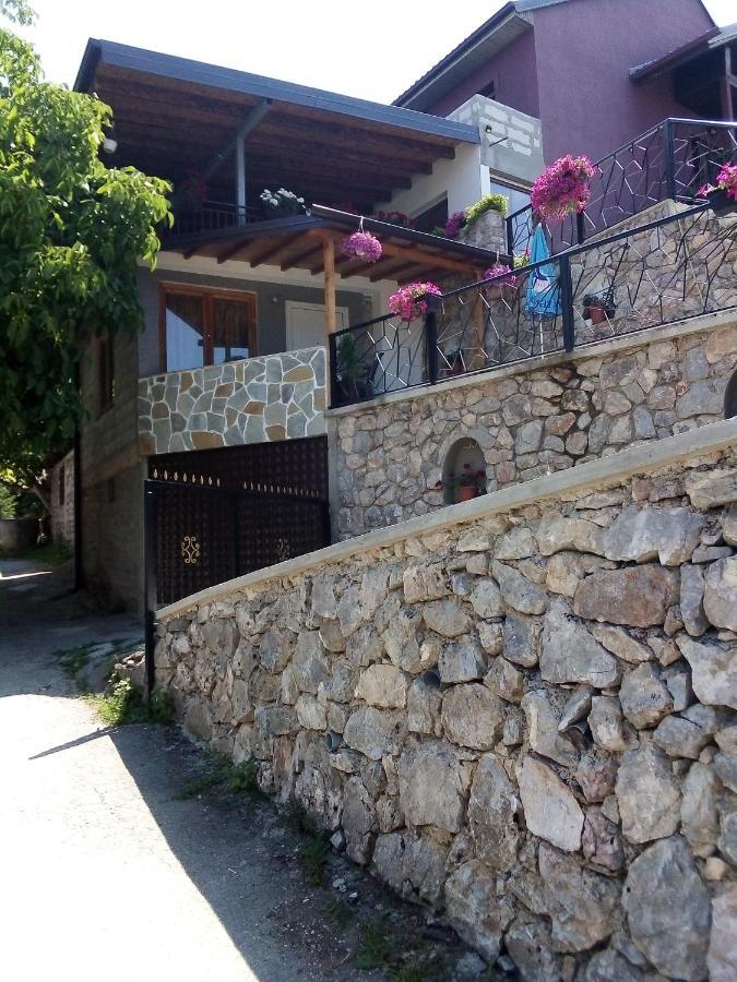 Guest House Stevovski Elshani エクステリア 写真