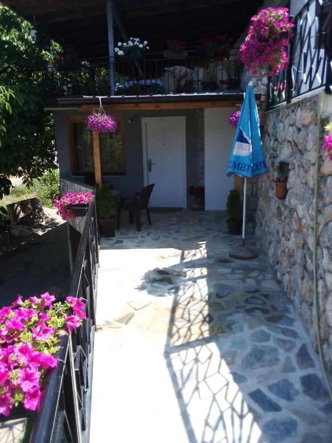Guest House Stevovski Elshani エクステリア 写真