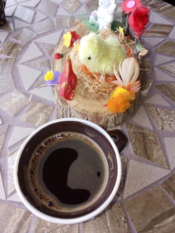 Guest House Stevovski Elshani エクステリア 写真