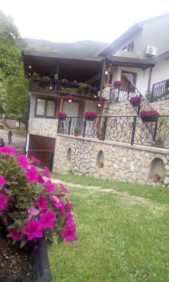 Guest House Stevovski Elshani エクステリア 写真