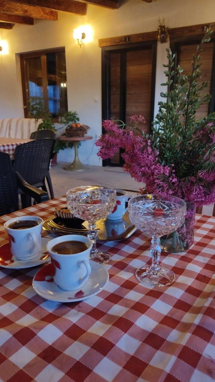 Guest House Stevovski Elshani エクステリア 写真