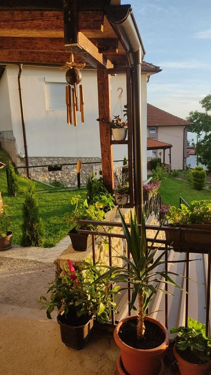 Guest House Stevovski Elshani エクステリア 写真